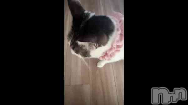 �֤��Ȥ��Τ��ʤΤˡ�