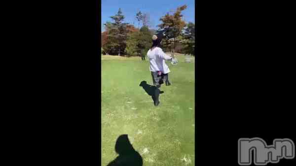 �֥��󥹤ʤ���Ǥ���