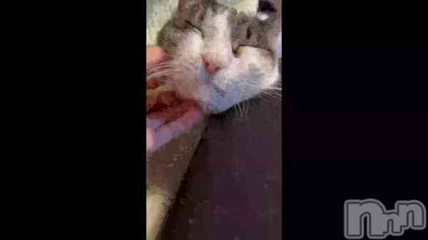 �֤��äȡ����