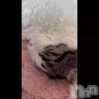 ���Ϥ褦�������ޤ�