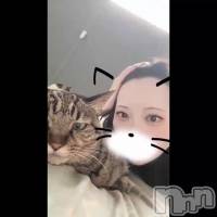 �ҤȤꤴ��