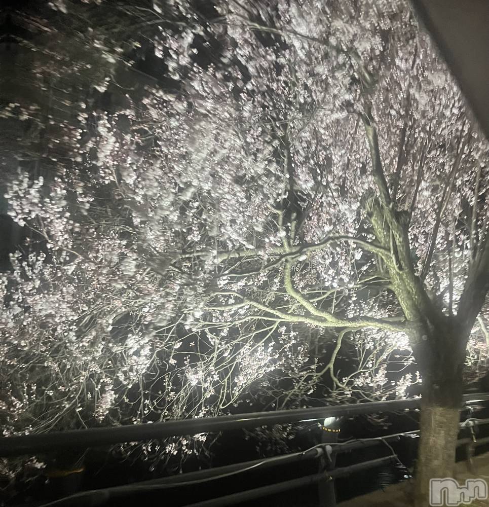 ľťʥå륺СLOUNGE SAINT() 밦41ֺ̥֥(*︶*)Ɏޡ