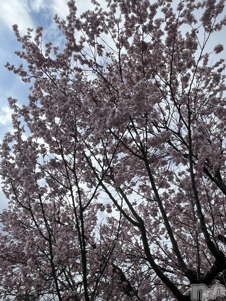 ľ���ť��ʥå��������륺�С�LOUNGE SAINT(�������) �밦��4��4���̥�֥����ֽդ���⸜(*ˊᗜˋ*)⸝��