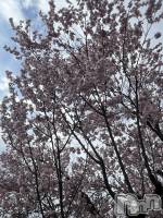 ľ���ť��ʥå��������륺�С�LOUNGE SAINT(�������) �밦(29)��4��4���̥�֥����ֽդ���⸜(*ˊᗜˋ*)⸝��