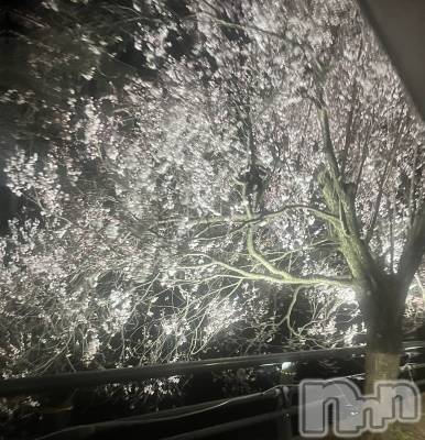 ľťʥå륺СLOUNGE SAINT() 밦(29)41ֺ̥֥(*︶*)Ɏޡ