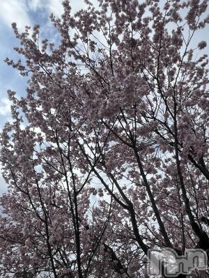 ľ���ť��ʥå��������륺�С�LOUNGE SAINT(�������) �밦(29)��4��4���̥�֥����ֽդ���⸜(*ˊᗜˋ*)⸝��