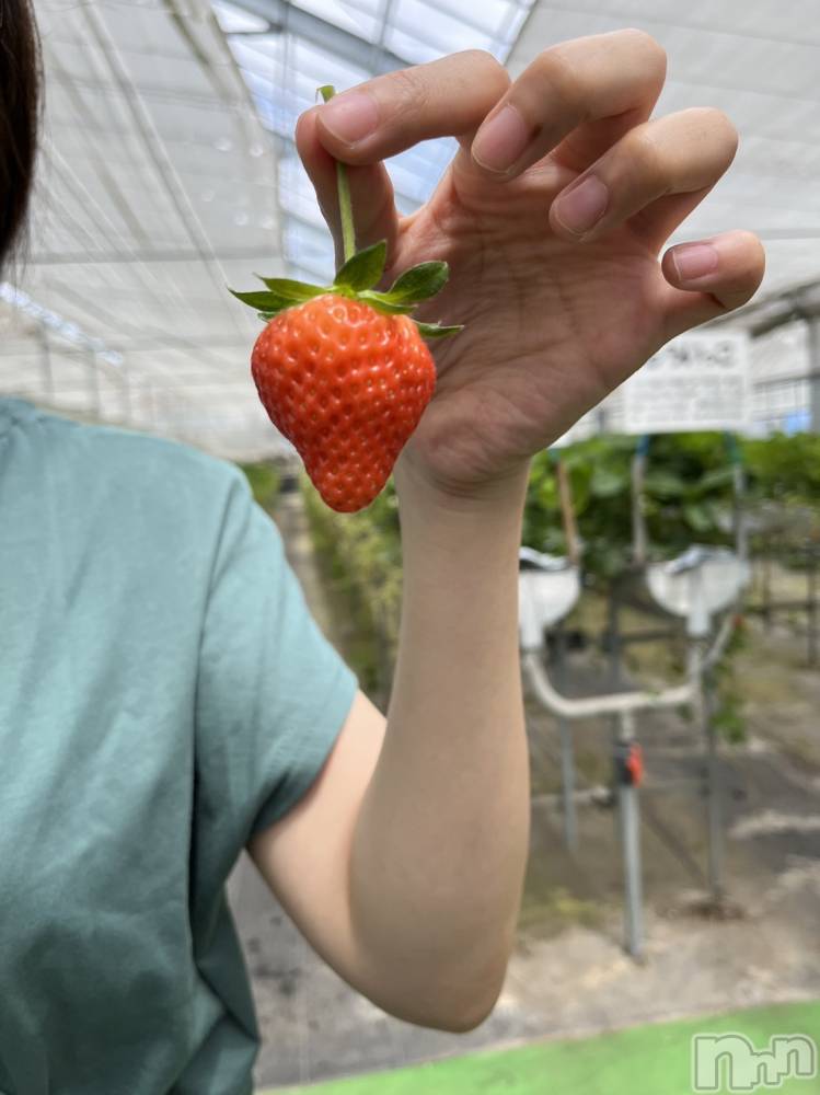 新潟風俗エステGRACE　新潟(グレース　ニイガタ) 櫻井(31)の6月5日写メブログ「いちご狩り🍓」