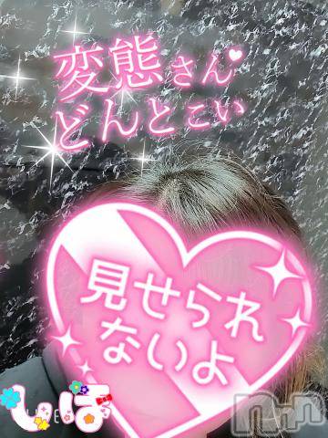 長岡ぽっちゃり新潟長岡ちゃんこ(ニイガタナガオカチャンコ) しほ☆ドMで熟女のエロさ満点(42)の4月15日写メブログ「ベーコンポテトパイ🥓」