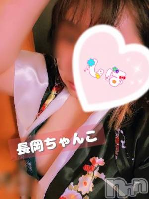 長岡ぽっちゃり 新潟長岡ちゃんこ(ニイガタナガオカチャンコ) しほ★新人(42)の3月2日写メブログ「ありがとうございます✨」