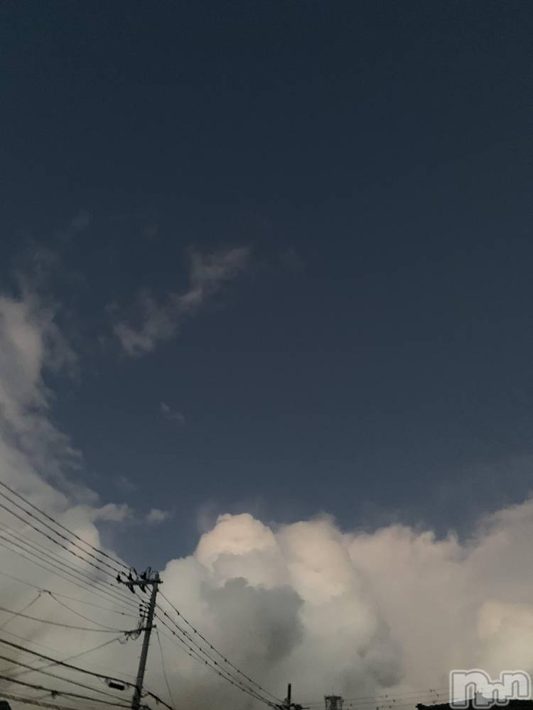 㡦ȯĥꥢ󥺥Ʋ֡(ϥʥϥ) ꥢ1215̥֥֤