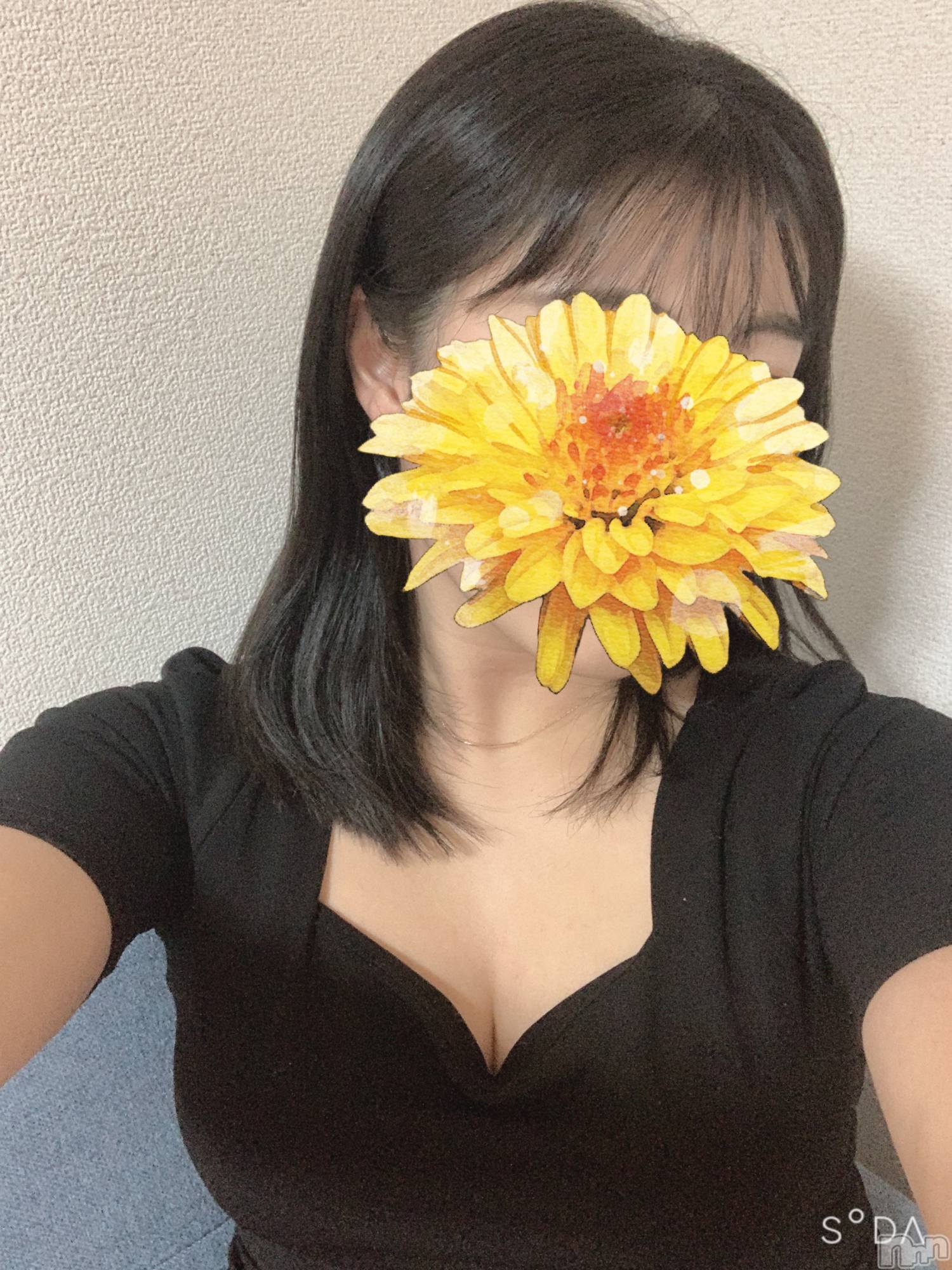 㡦ȯĥꥢ󥺥Ʋ֡(ϥʥϥ) 2022ǯ1227̥֥ʥ🤭