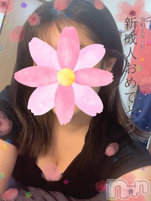 㡦ȯĥꥢ󥺥Ʋ֡(ϥʥϥ) ꥢ(26)17̥֥ͤ