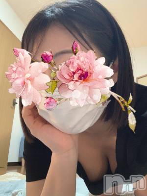 㡦ȯĥꥢ󥺥Ʋ֡(ϥʥϥ) ꥢ(26)217ֽ̥֥жФޤ🫶🏻