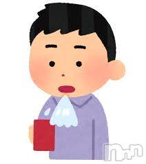 ʥå륺СLounge Anshu(饦󥸥󥷥) 椫713̥֥֥ΤǹФ