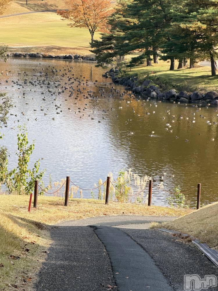 ʥå륺СLounge Anshu(饦󥸥󥷥) 椫1115̥֥֤⥴դۤɤۤɤˤäƤäΤˡ