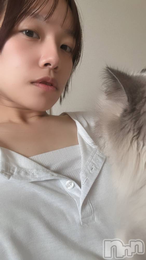 ����������ʥå��������륺�С�Lounge Anshu(�饦�󥸥��󥷥�) �椫���1��20���̥�֥�����ʪ˺�줬�Ҥɤ�¿ʬ�µ���