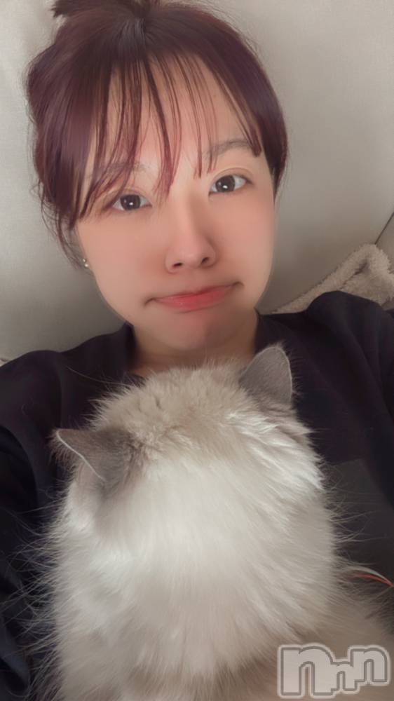 ����������ʥå��������륺�С�Lounge Anshu(�饦�󥸥��󥷥�) �椫���2��21���̥�֥����ֿͤξ夬������ǭ��