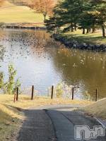 ʥå륺СLounge Anshu(饦󥸥󥷥) 椫1115̥֥֤⥴դۤɤۤɤˤäƤäΤˡ