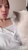 ä🐈