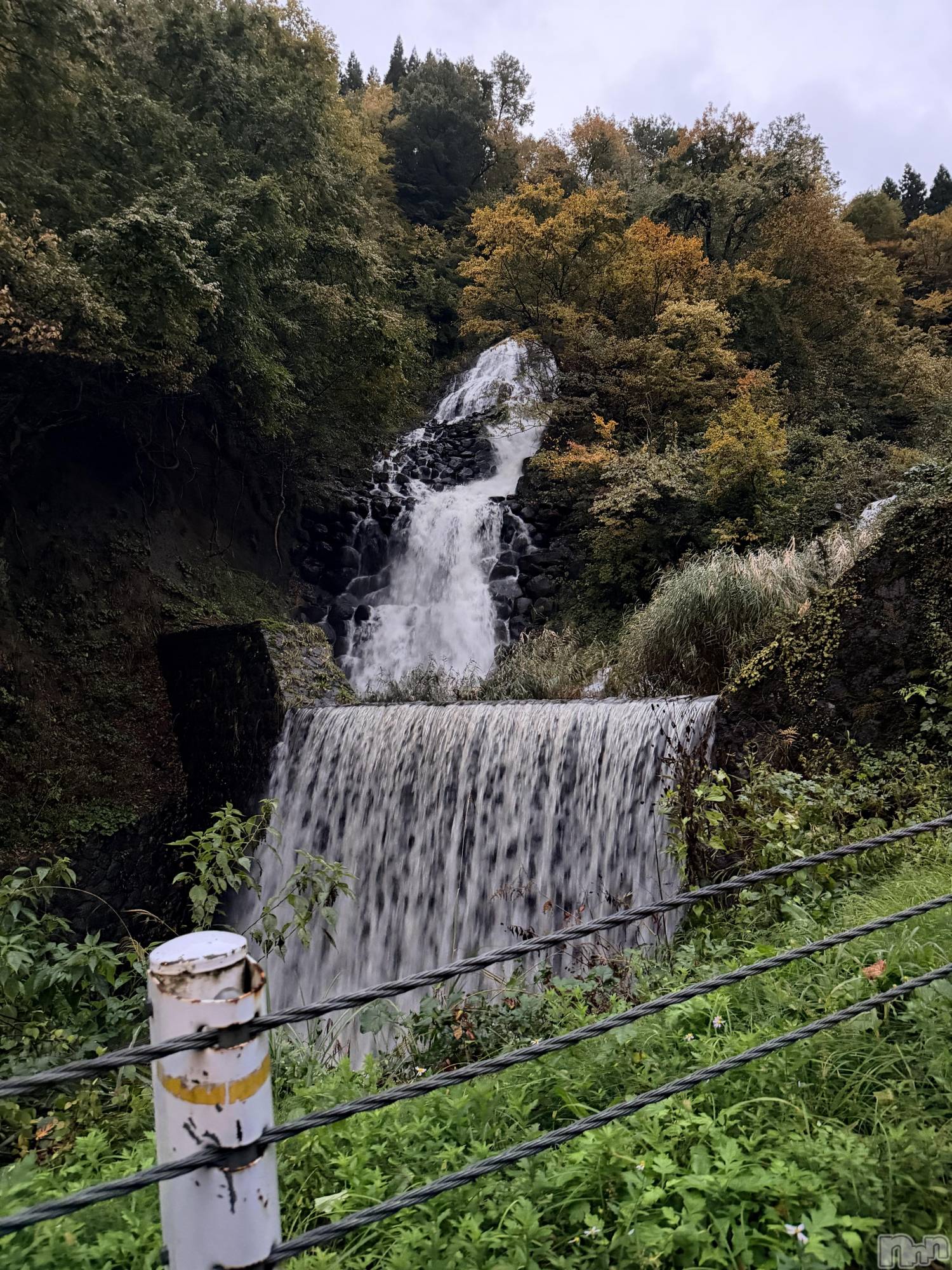 ʥå륺СLounge Anshu(饦󥸥󥷥) 2025ǯ114̥֥򸫤