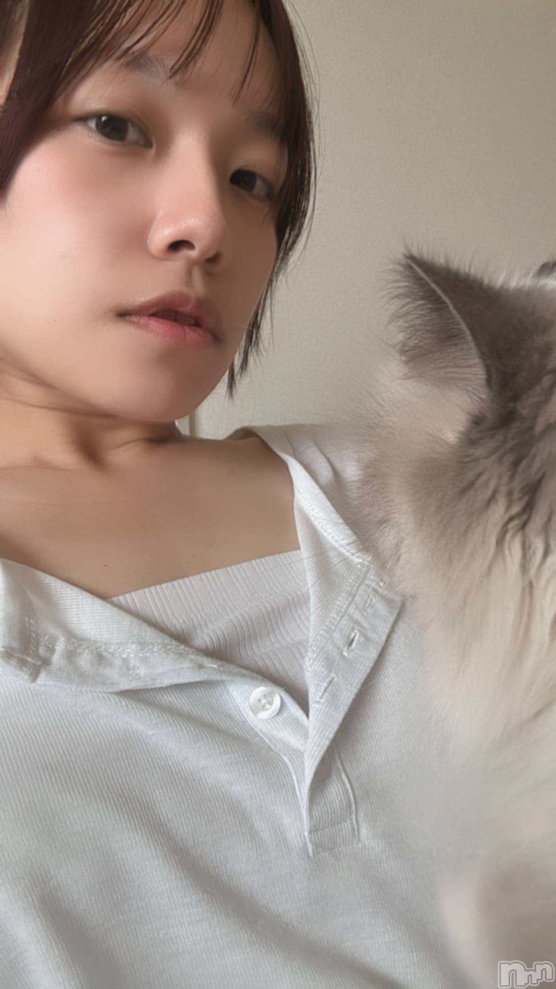 ����������ʥå��������륺�С�Lounge Anshu(�饦�󥸥��󥷥�) ��2026ǯ1��20���̥�֥�����ʪ˺�줬�Ҥɤ�¿ʬ�µ���