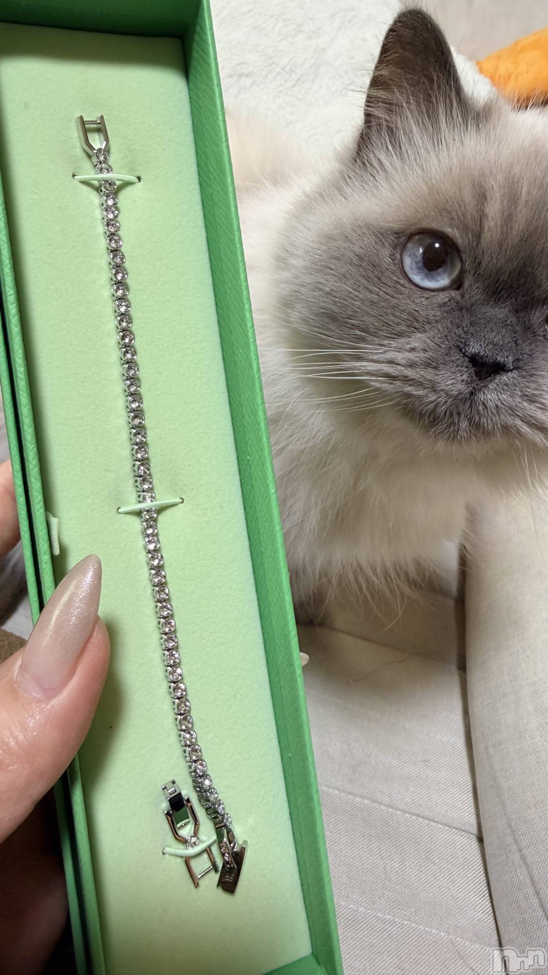 ����������ʥå��������륺�С�Lounge Anshu(�饦�󥸥��󥷥�) ��2026ǯ2��16���̥�֥����ֺ���μ������✨��