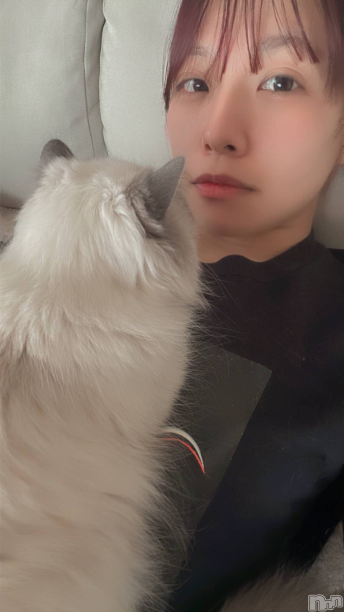 ����������ʥå��������륺�С�Lounge Anshu(�饦�󥸥��󥷥�) ��2026ǯ3��5���̥�֥����֤ݤ󤷤夫�󤪤�����ä�����