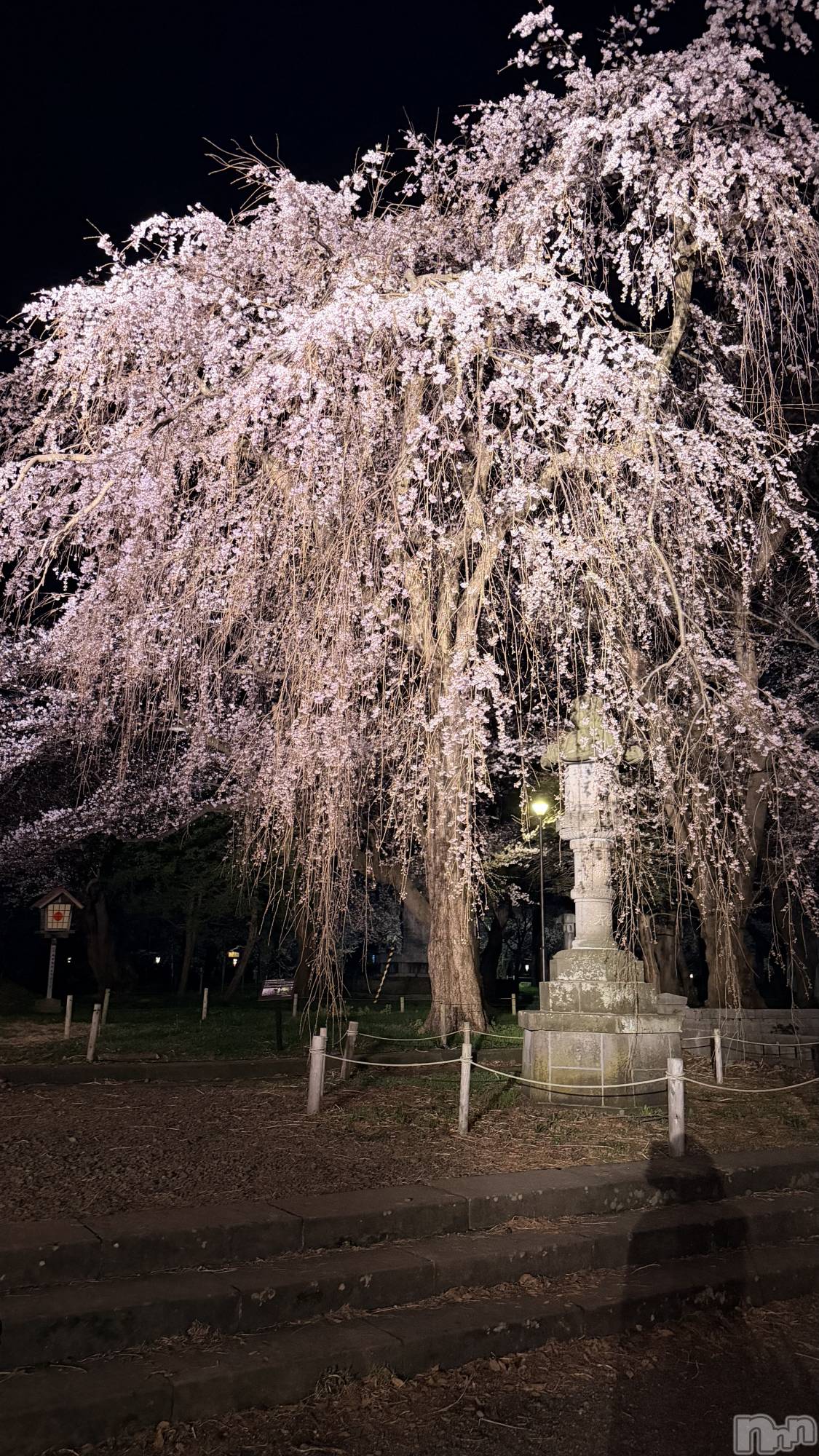 ����������ʥå��������륺�С�Lounge Anshu(�饦�󥸥��󥷥�) ��2026ǯ4��6���̥�֥����ֺ��Ϥ���������͡���