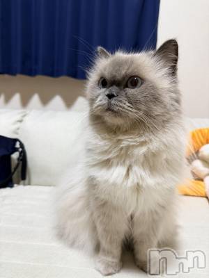 新潟駅前スナック・ガールズバーLounge Anshu(ラウンジアンシュ) ゆかりの10月14日写メブログ「いい女ムーブなベストショット」