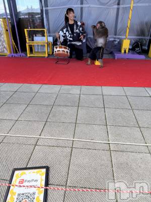 新潟駅前スナック・ガールズバーLounge Anshu(ラウンジアンシュ) ゆかりの10月22日写メブログ「猿ってすごいよ」