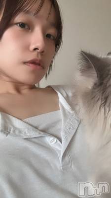 ����������ʥå��������륺�С�Lounge Anshu(�饦�󥸥��󥷥�) �椫���1��20���̥�֥�����ʪ˺�줬�Ҥɤ�¿ʬ�µ���