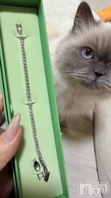 ����������ʥå��������륺�С�Lounge Anshu(�饦�󥸥��󥷥�) �椫���2��16���̥�֥����ֺ���μ������✨��