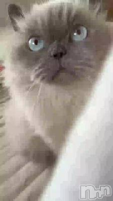 1���֤��꤬�Ȥ��������ޤ�������줿��