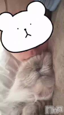 Ƥˤʤꤿä