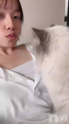 ä🐈