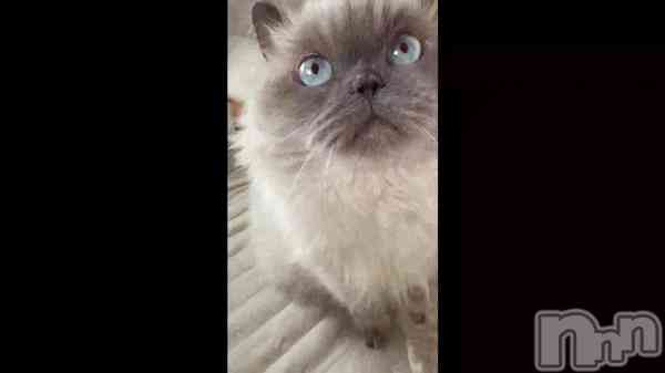 ��1���֤��꤬�Ȥ��������ޤ�������줿����