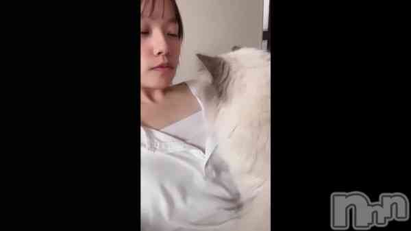ä&#x1F408;