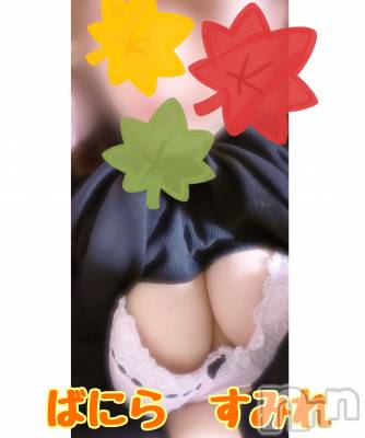 松本発デリヘル VANILLA(バニラ) すみれ(19)の11月13日写メブログ「こんばんわん🐶」