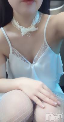 С㤭SUPER ANGEL(ѡ󥸥) ܹ ߤߤ24̥֥02.04🐰