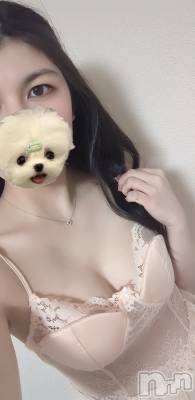 С㤭SUPER ANGEL(ѡ󥸥) ܹ ߤߤ1228ֺ̥֥ǯĤ鷺