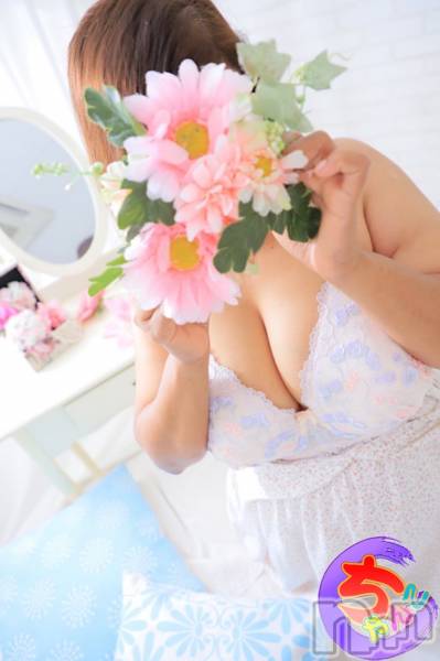 せいこ