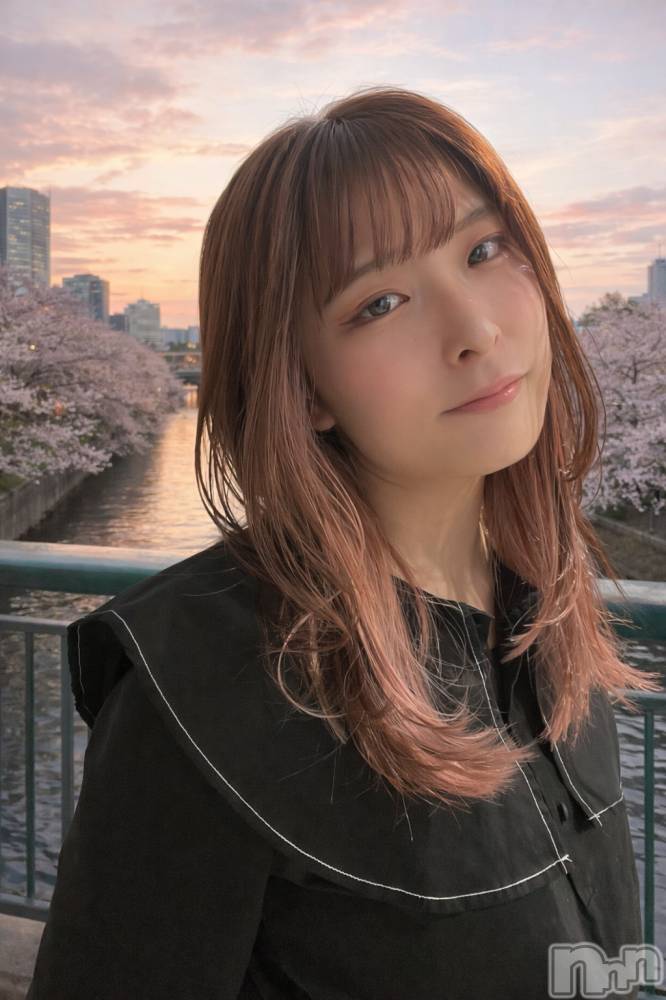 ����������ʥå��������륺�С����ʥå�����ܤ��(���ʥå�����ܥ����) ���ʤǤ�1��16���̥�֥����ֵ��ᳰ���🌸��