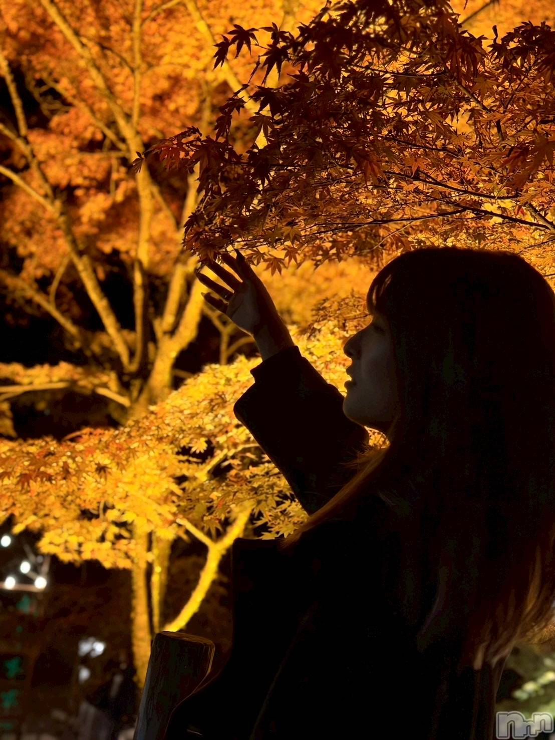 ����������ʥå��������륺�С����ʥå�����ܤ��(���ʥå�����ܥ����) ��2025ǯ12��20���̥�֥����֤���ä����Ρ�🍁��