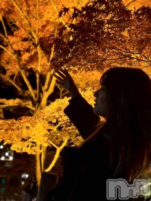 ����������ʥå��������륺�С����ʥå�����ܤ��(���ʥå�����ܥ����) ���ʤ�(27)��12��20���̥�֥����֤���ä����Ρ�🍁��