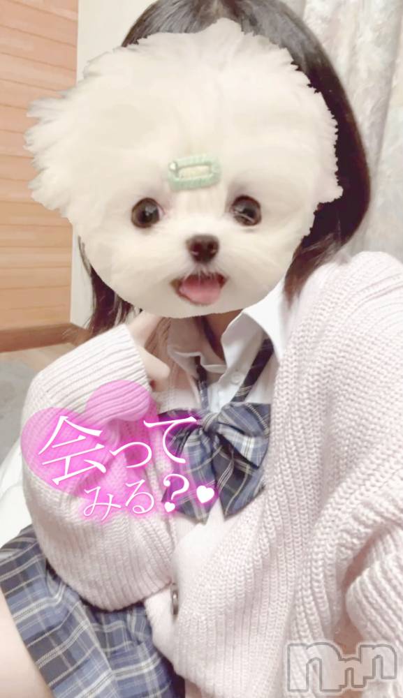 新潟手コキ新潟風俗Noel-ノエル-(ノエル) ふう(20)の12月8日写メブログ「ふうの妄想」