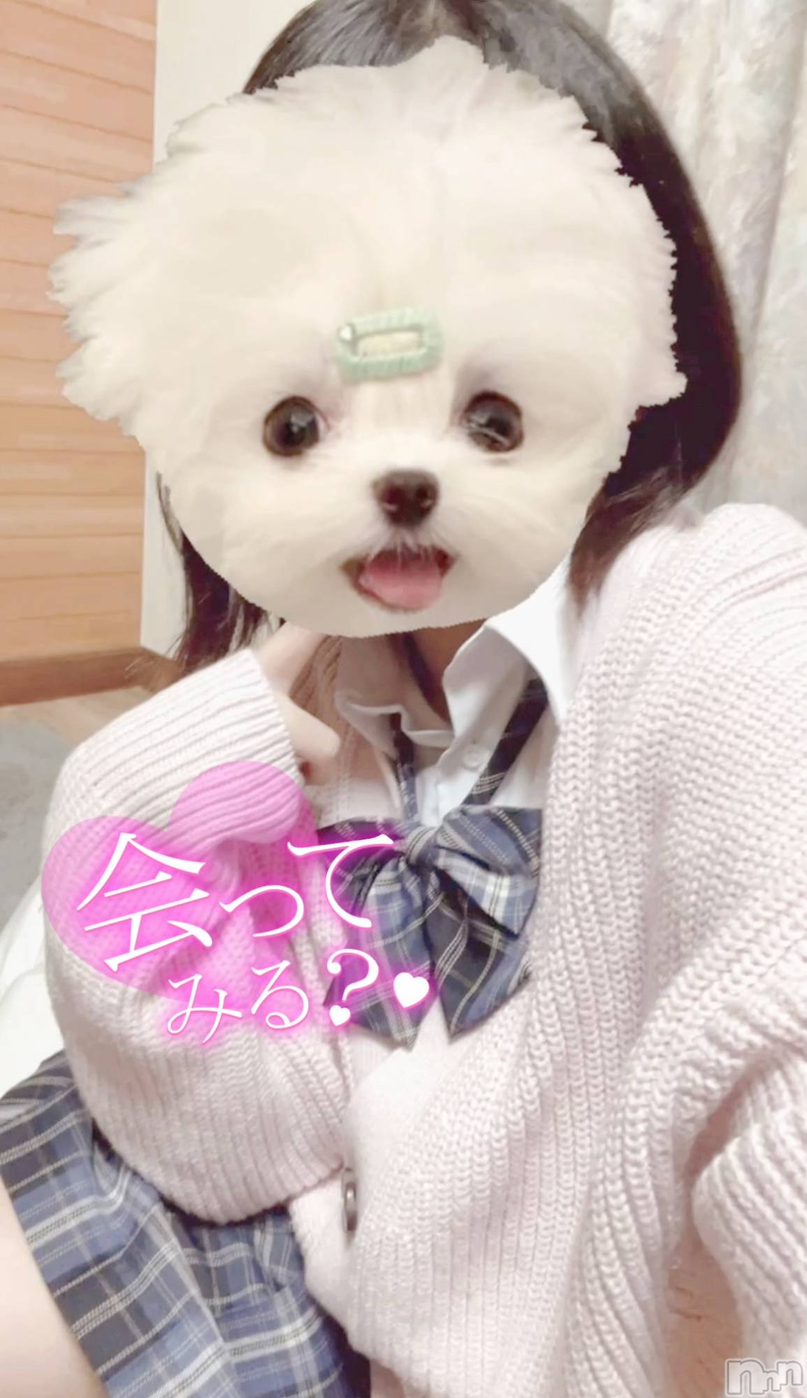 新潟手コキ新潟風俗Noel-ノエル-(ノエル)ふう(20)の2022年12月8日写メブログ「ふうの妄想」