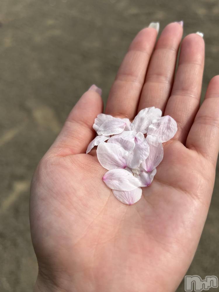 ܱХ顦K-LOUNGE(饦) ʤ417ְ̥֥...