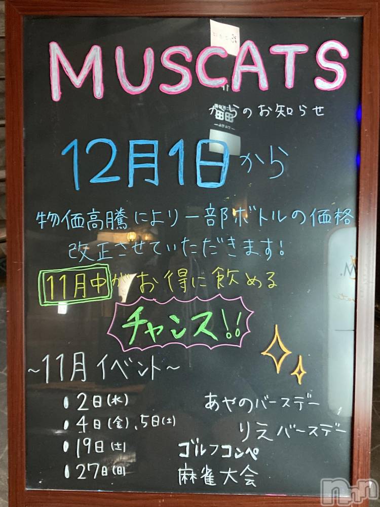 Ʋʥå륺СMuscat`s(ޥå) 111̥֥֥ޥåĤΤΤ餻