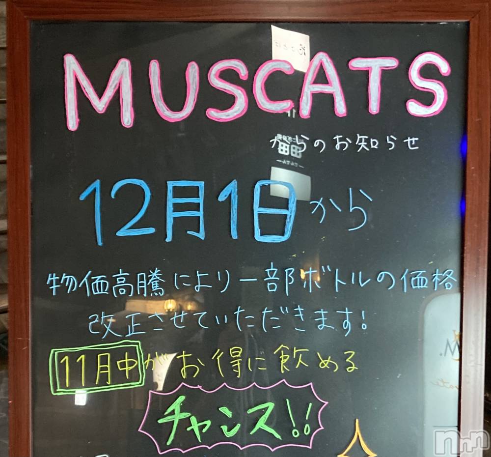 Ʋʥå륺СMuscat`s(ޥå) 1126̥֥֥󥹤褩