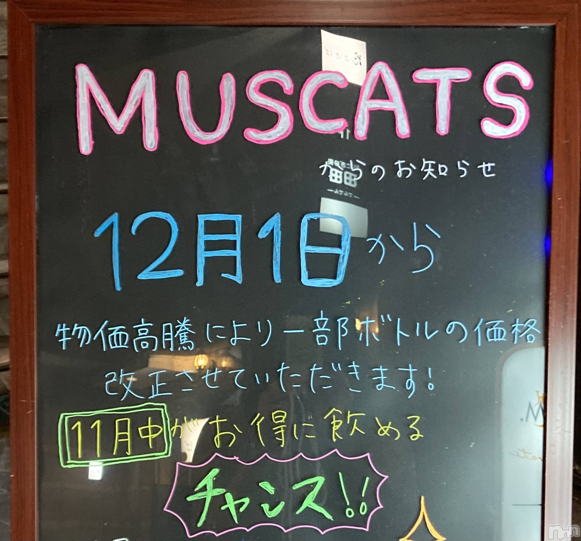 Ʋʥå륺СMuscat`s(ޥå) 2022ǯ1126̥֥֥󥹤褩